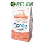 MONGE ALL BREEDS SALMONE E RISO KG 12